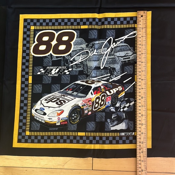 Dale Jarrett 2002 Pillow Panels 15x15 - Picture 6 of 6